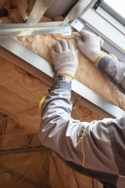 Best Insulation Maintenance and Repair in Auburn, KS